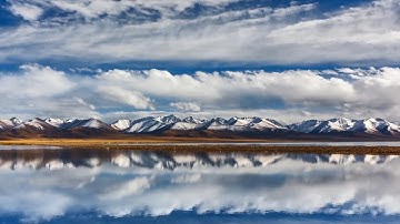 GLOBALink | Restore our ecosystem through global collaboration