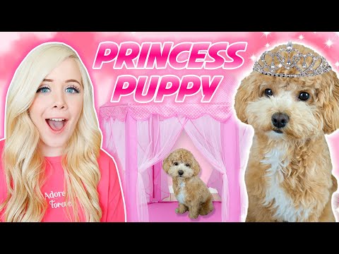I TURNED MY PUPPY INTO A PRINCESS FOR 24 HOURS 