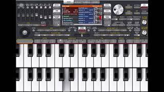 Org 24 Müjgan , Darbukası Düm Düm Teke Roman Havasi Resimi