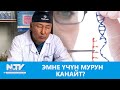 NewTV// ЭМНЕ ҮЧҮН МУРУН КАНАЙТ? // ДАБАГЕР