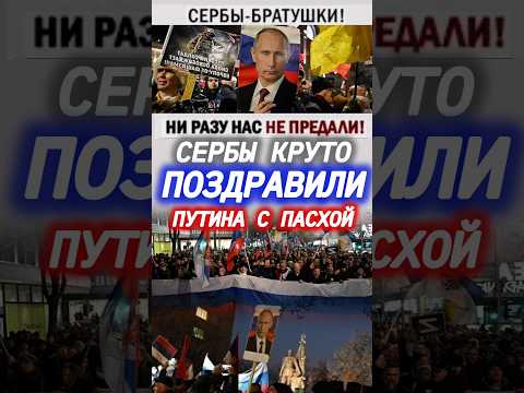 #сербия ПОЗДРАВИЛИ #путин #пасха #новости #сегодня #россия #вести #рф #сми #тв #украина #ввп #shorts