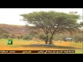 مناظر من الحوض الغربي 2013 قناة الساخل مناظر من الحوض الغربي 2013 قناة الساخل