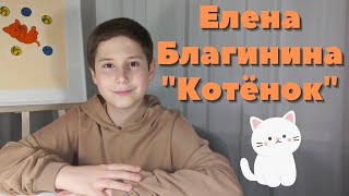 Елена Благинина. Котёнок. Читает Трофимов Артём