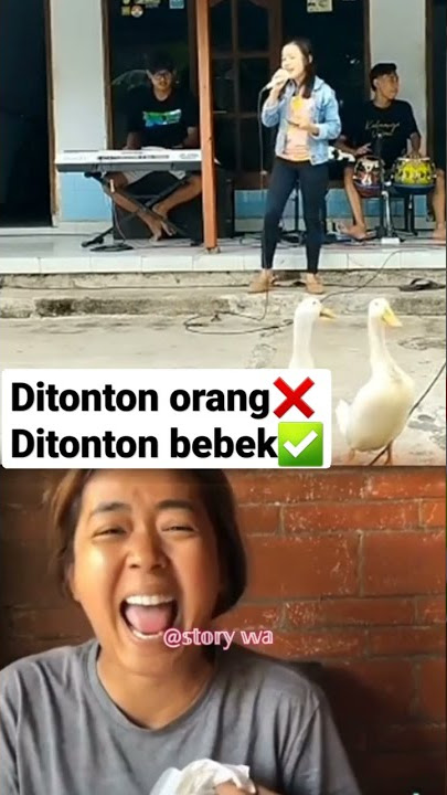 satru 2 - di tonton bebek🤣 #feedshorts #meme #shorts #ngakak #memelucu #storywa #story