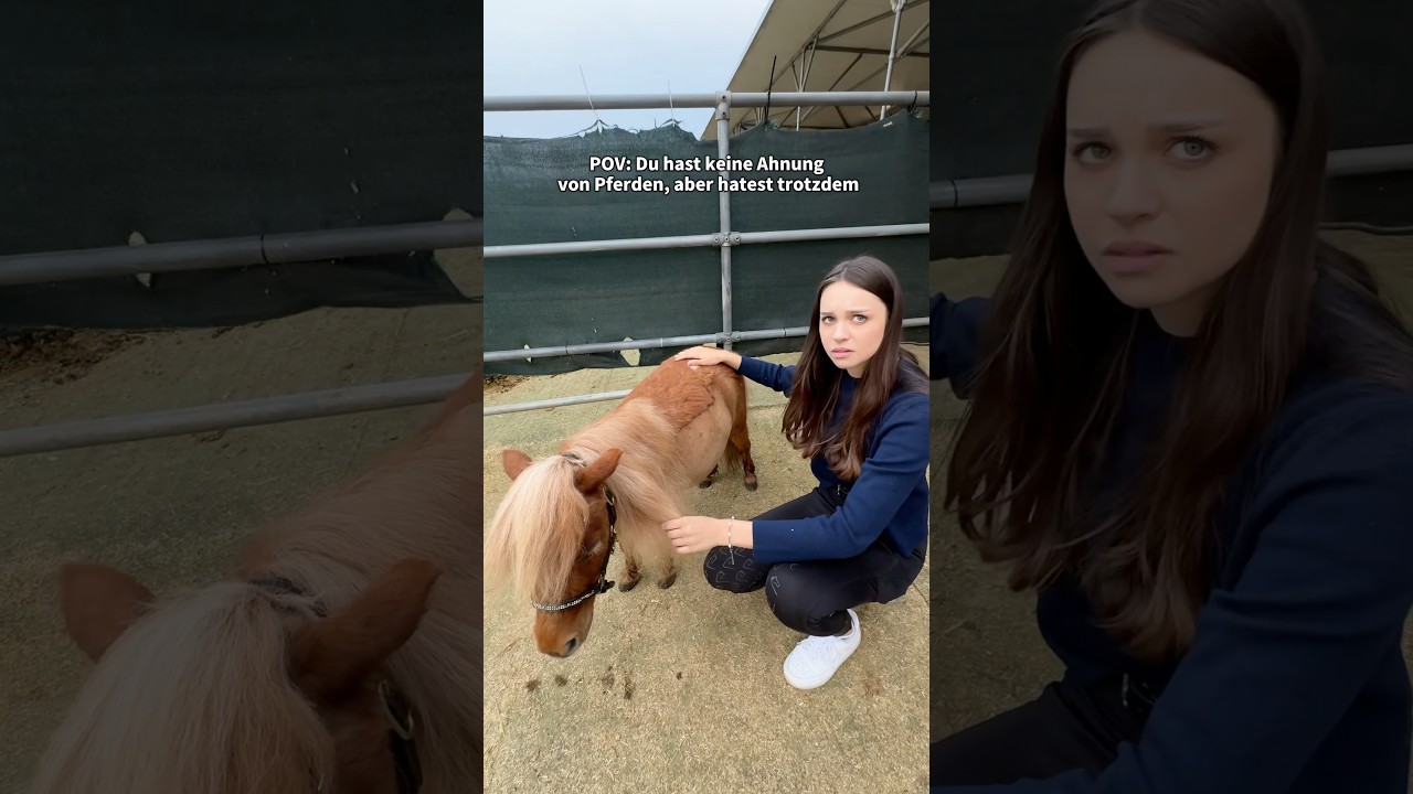 Welcher Spruch fällt euch noch ein?😂 ​⁠@h@heyhorse9017horse #fail #pov #pferd #pony