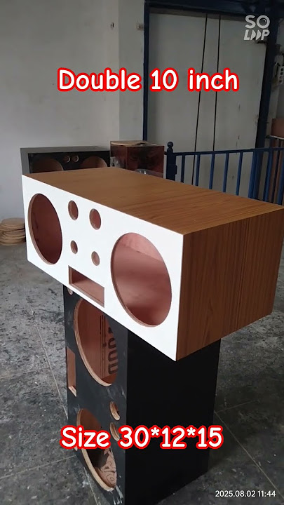 dual 10 inch speaker #speaker #boombox