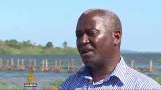 Reggae musician makes Uganda's floating island his home