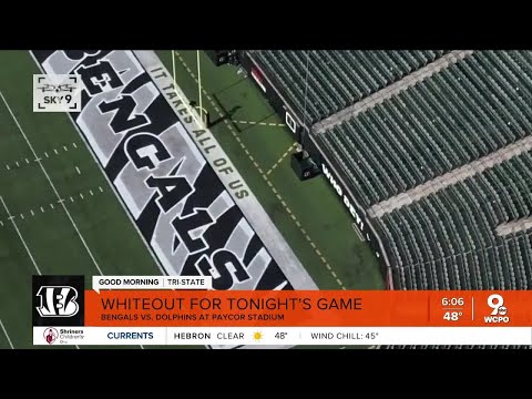 bengals white out game