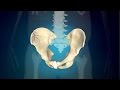 3 simple exercises for pelvic fracture to regain regular function