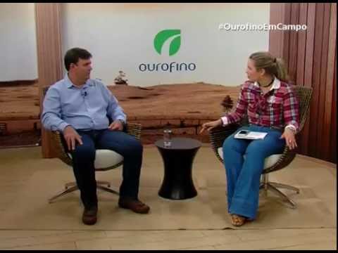 Vídeo: O que é febre aftosa?