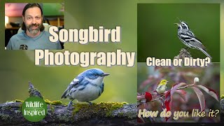 Songbird Photography - Clean or Dirty?