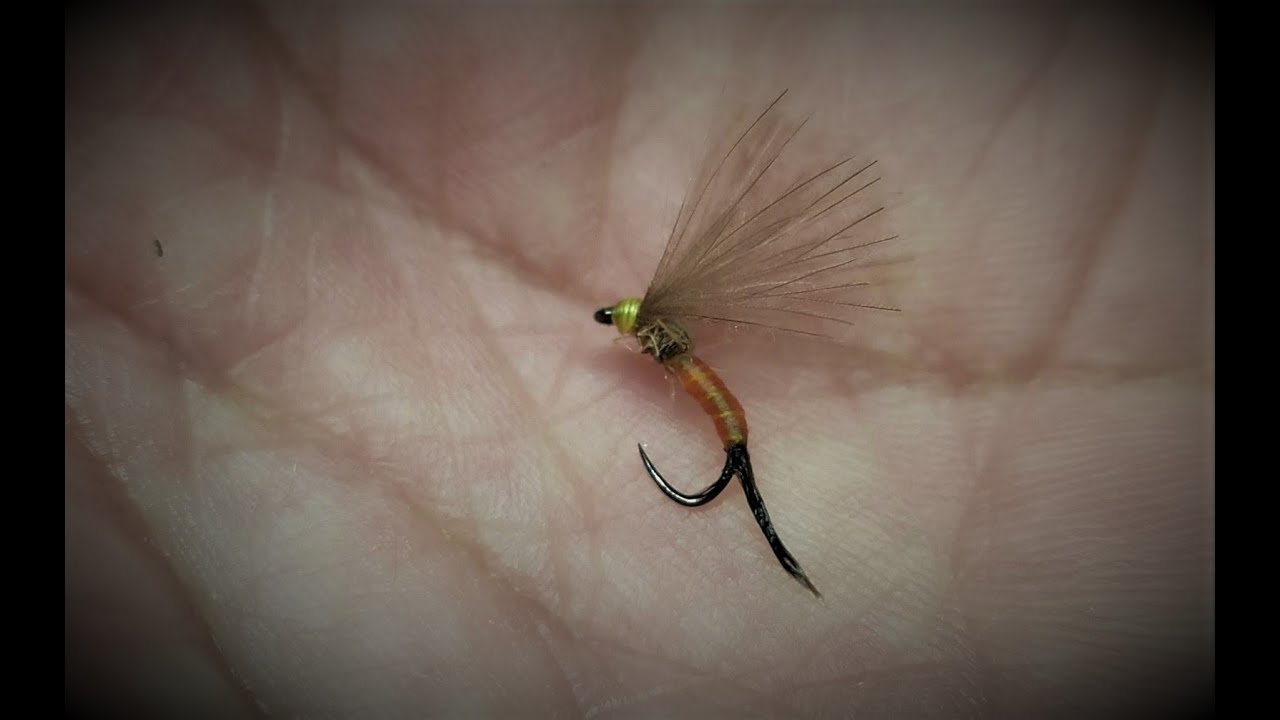 Emergente Efemera Carne