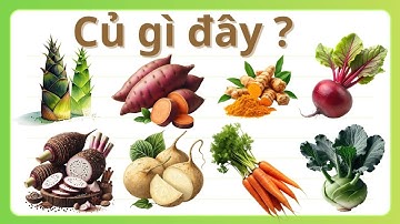 Bé học tiếng Anh qua video từ vựng các loại củ, khoai 🥔🥕