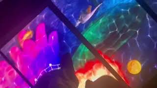 Dance floor led screen testing