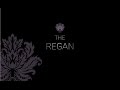THE REGAN Luxury Estate | New Lenox IL | Skipper Denton | $1,499,000