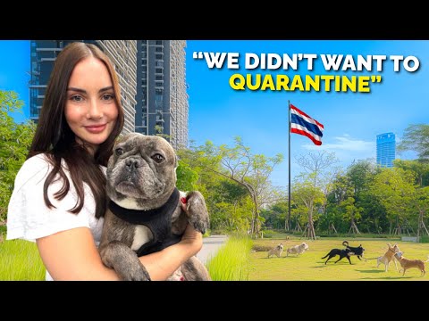 How to Bring Your Dog to Thailand (Full Guide)
