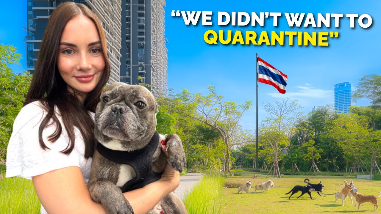 How to Bring Your Dog to Thailand (Full Guide) - YouTube