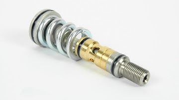 EGO LV1.6 - Regulator Maintenance