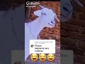 Goat Funny Video Name For Najma Goat Funny Video Name For Najma