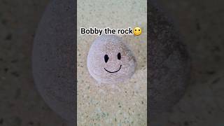 My pet rock!🙂 #diy #rock #art #petrock #shorts #short #shortsart