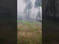 😱😱⛈️⛈️ #reels #viral #creativity #nature