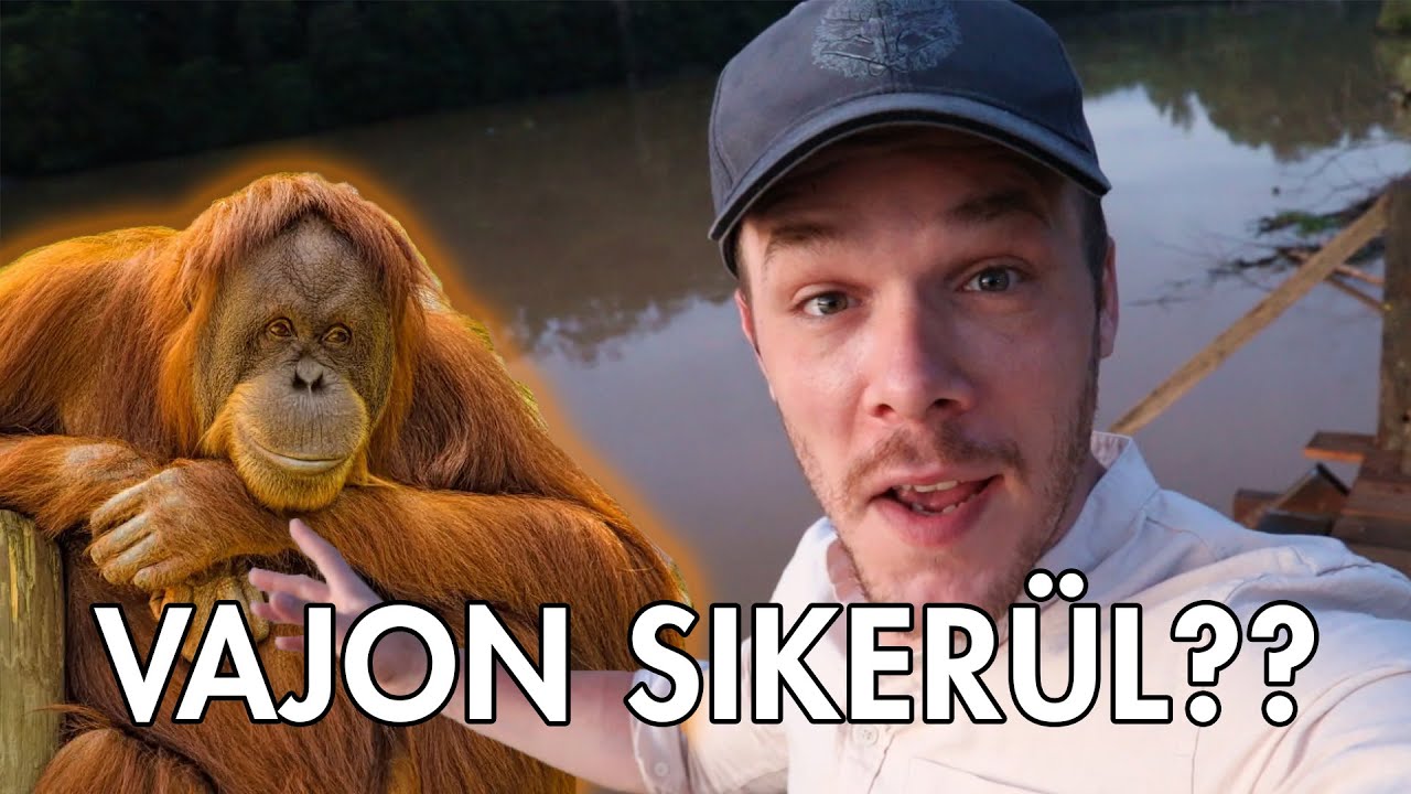 Beköltöztem a Dzsungelbe, hogy Orángutánnal találkozzak! | Borneo #1