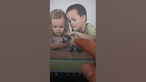 HOMEWORK - Unit 8 Lesson 3 - MLI 1 - STARTER - VIDEO