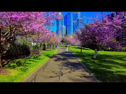 Exploring A Beautiful Park In Flagstaff Gardens | Urban Park Ambience (Melbourne, Australia)