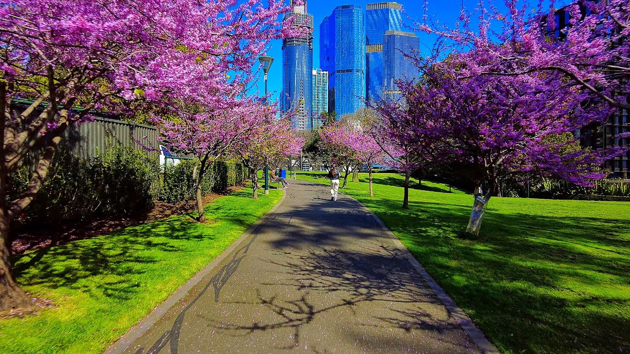 Exploring A Beautiful Park In Flagstaff Gardens Urban Park Ambience