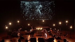 ASPIDISTRAFLY - 'LANGUAGE OF FLOWERS' (Performance Video)