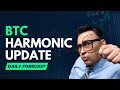 Bitcoin BTC Price Prediction  Today - Technical Analysis and Harmonic Analysis  in sinhala