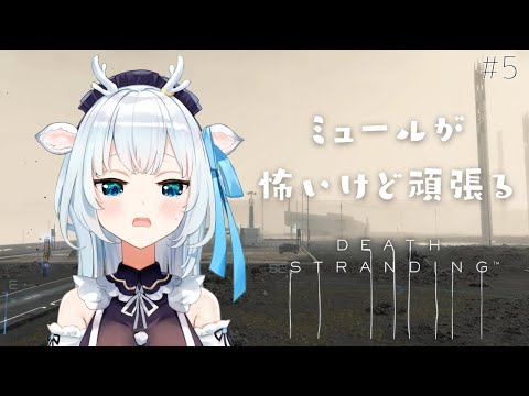 video thumb