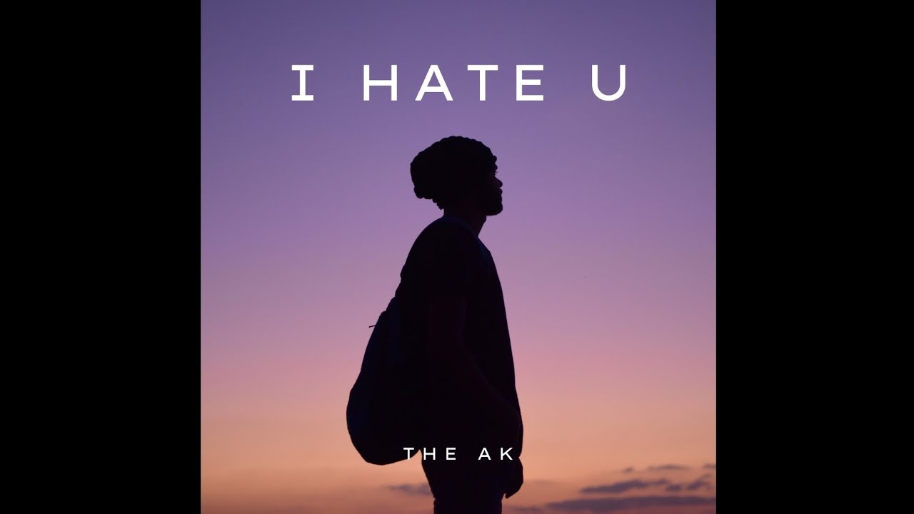 I Hate You I Love You übersetzung THE AK - I HATE YOU, I LOVE YOU (Remix) GNASH - YouTube