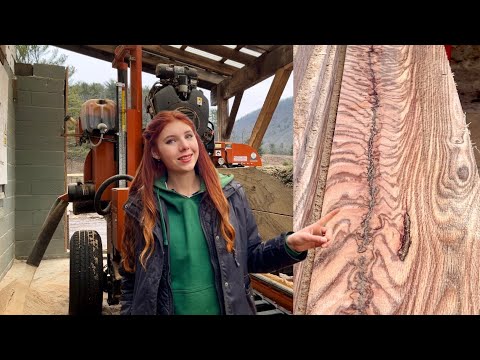 Quarter Sawing HUGE Oak with Beautiful Grain