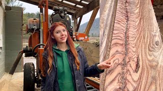 quarter sawing huge oak with beautiful grain patterns!