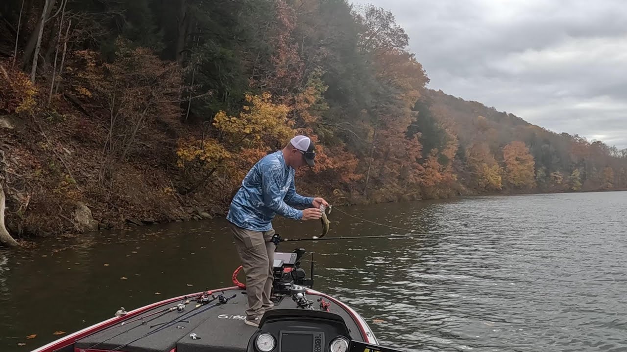 Fall Fishing at Curwensville Lake YouTube