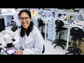 Biomedical  research at the university of leeds  faculty of biological sciences
