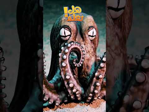 هل تعلم أن الأخطبوط يمتلك ثلاثة قلوب 