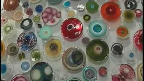 Interview with Gallery Director Cynthia Corbett an...