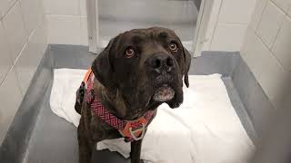 acs A669926
