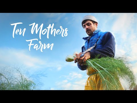 Three farmers CRUSHING the CSA market in North Carolina! // Ten Mothers Farm