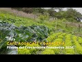 Café, Aguacate y Ganadería: Pilares del Crecimiento Económico 2024 - TvAgro por Juan Gonzalo Angel