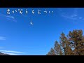 君が笑えるように 嵐 【はまりん】949