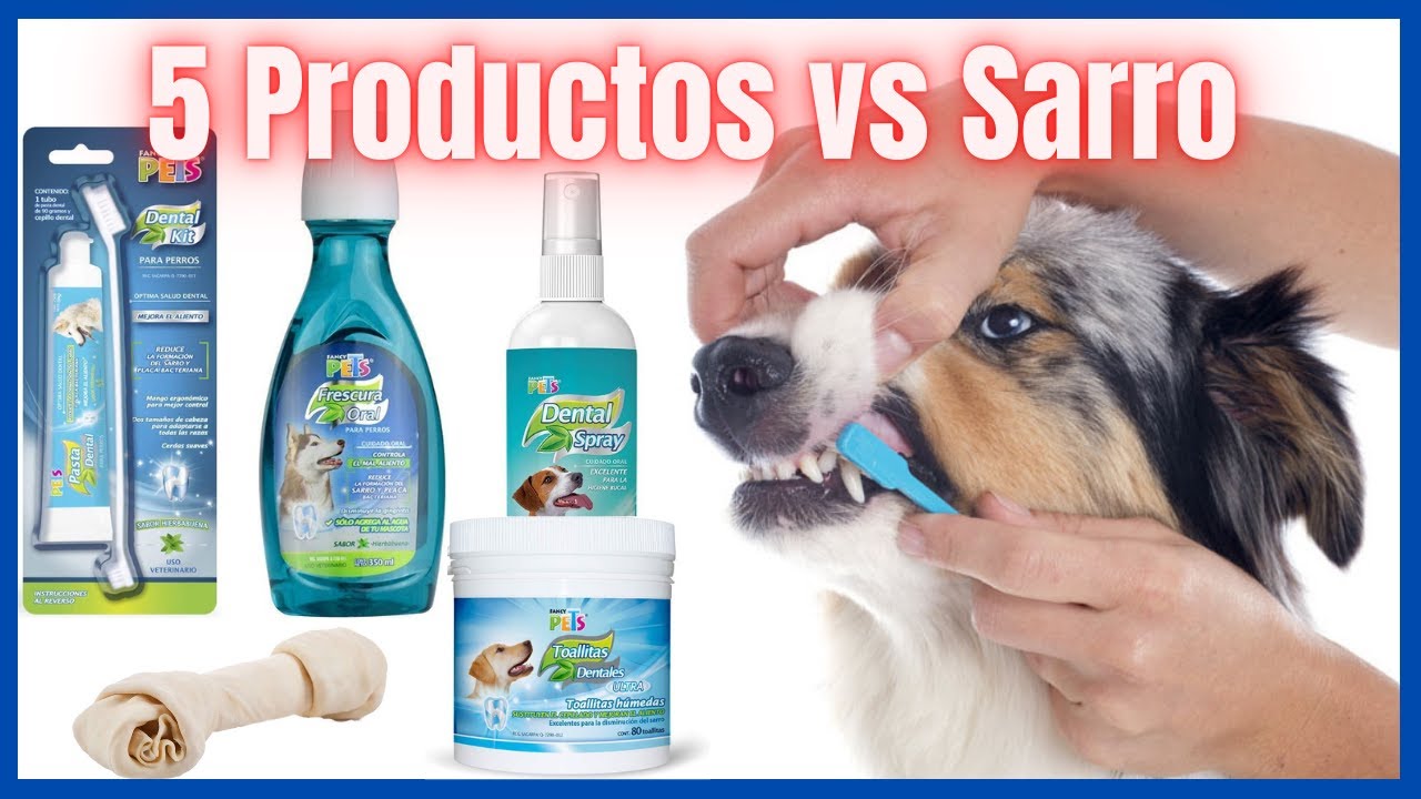 como-quitar-el-sarro-a-los-perros-en-casa-top-5-productos-para