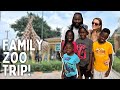 We Finally Made It To The Zoo The Perfect Family Day We Needed рџ Ѓвќ пёЏ We Finally Made It To The Zoo The Perfect Family Day We Needed рџ Ѓвќ пёЏ