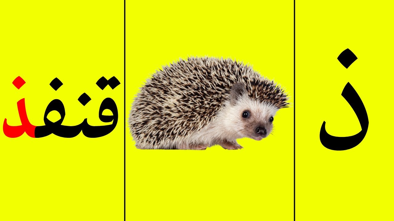 تعلم حرف الذال ذ مع مختلف أوزان الكلمات تعليم الحروف العربية للأطفال ...