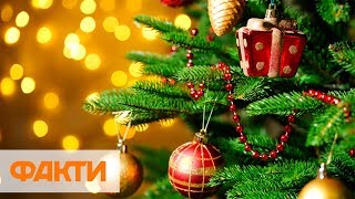 Как правильно выбрать новогоднюю елку и не попасть на крючок мошенников Как правильно выбрать новогоднюю елку и не попасть на крючок мошенников