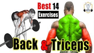 14 تمارين تستهدف عضلات الظهر والترايسبس | Back And Triceps Workout Bodybuilding