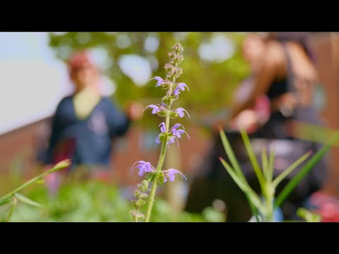 Litter Pickin' Punks (2024) | Trailer