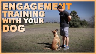 How to Train Your Dog to be Engaged with You!